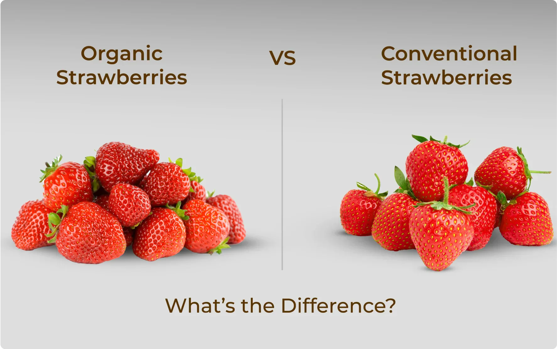 Organic Strawberries vs. Conventional Strawberries: What’s the Difference?