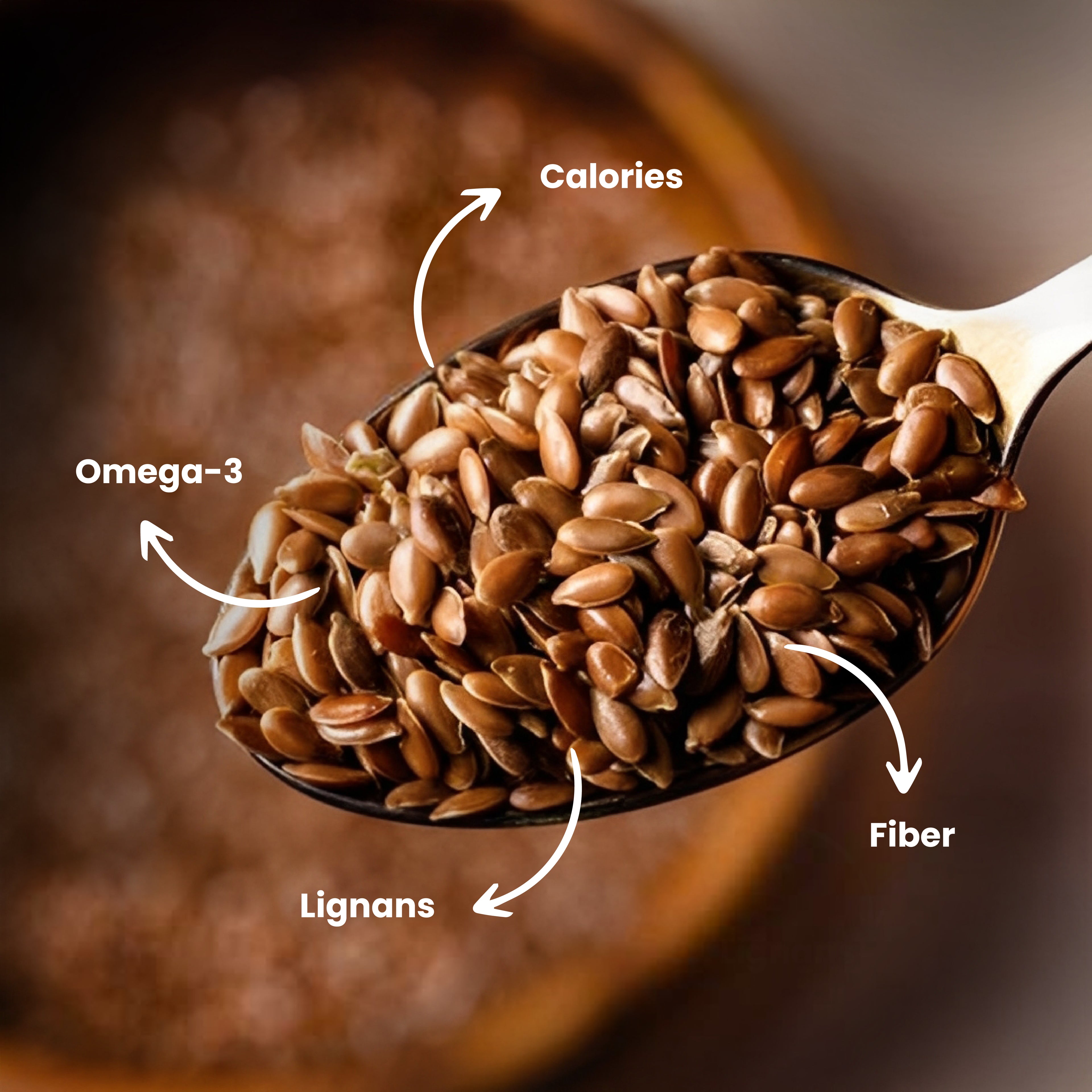 Roasted Flax Seeds